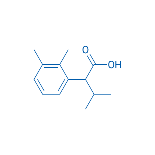 2-(2,3-Dimethylphenyl)-3-methylbutanoic acid 1g