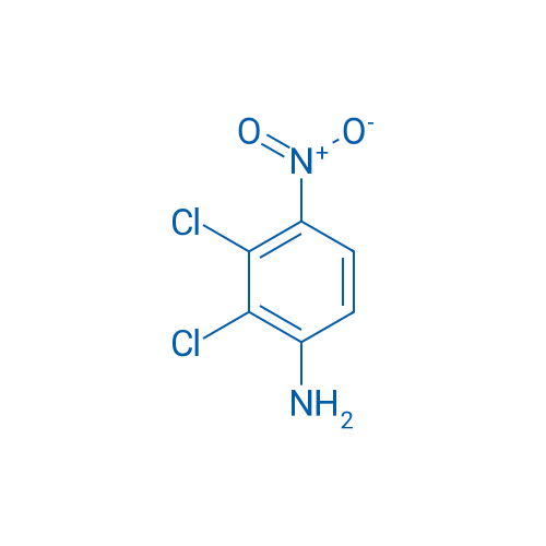 2,3-Dichloro-4-nitroaniline 1g