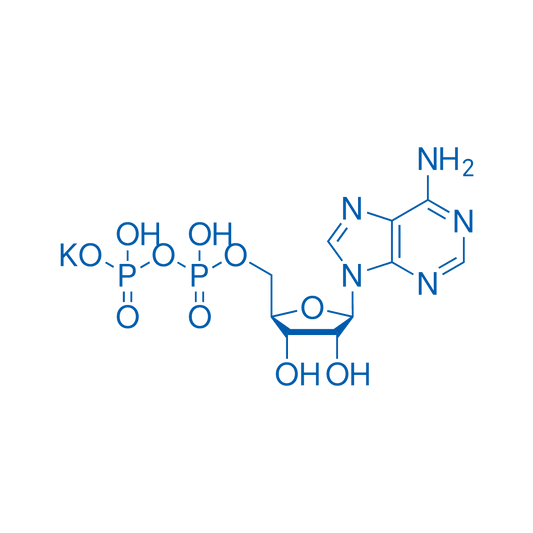 ((2R,3S,4R,5R)-5-(6-Amino-9H-purin-9-yl)-3,4-dihydroxytetrahydrofuran-2-yl)methyl trihydrogen diphosphate monopotassium salt 1g