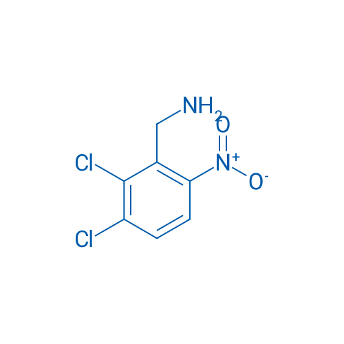 (2,3-Dichloro-6-nitrophenyl)methanamine 5g