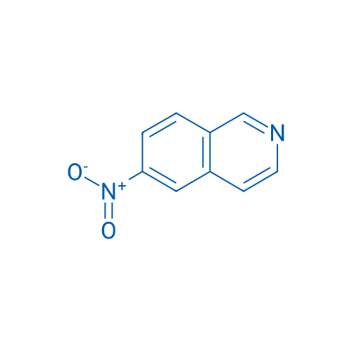 6-Nitroisoquinoline 1g