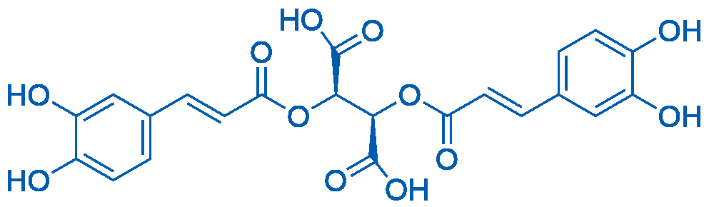 L-Chicoric Acid 10mg
