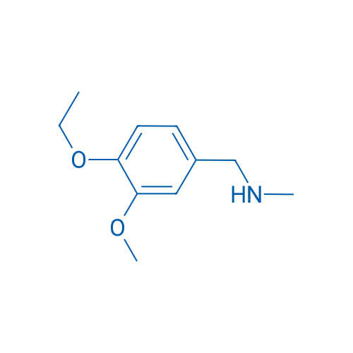 [(4-Ethoxy-3-methoxyphenyl)methyl](methyl)amine 100mg