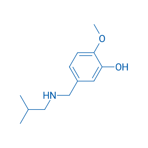 2-Methoxy-5-{[(2-methylpropyl)amino]methyl}phenol 1g