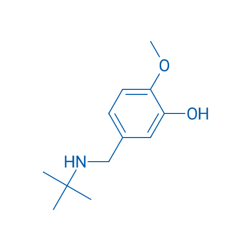 5-[(tert-Butylamino)methyl]-2-methoxyphenol 1g