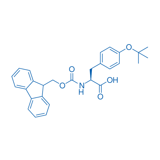 Fmoc-Tyr(tBu)-OH 10g