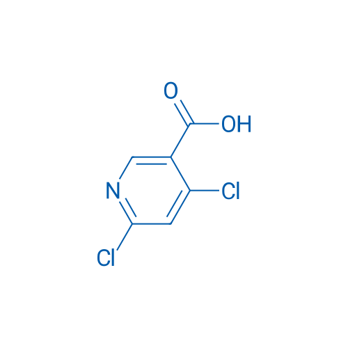 4,6-Dichloronicotinic acid 5g