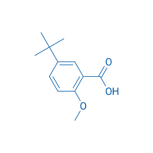 5-(tert-Butyl)-2-methoxybenzoic acid 250mg