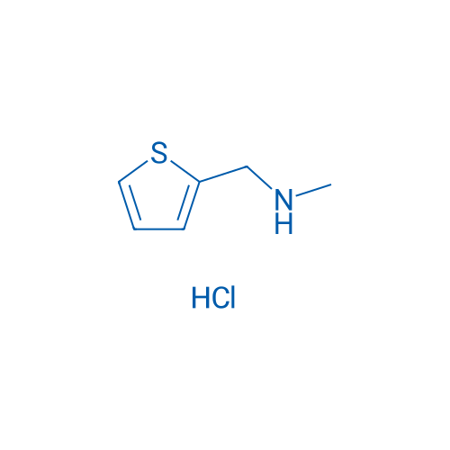N-Methyl-(2-thienylmethyl)amine Hydrochloride 1g
