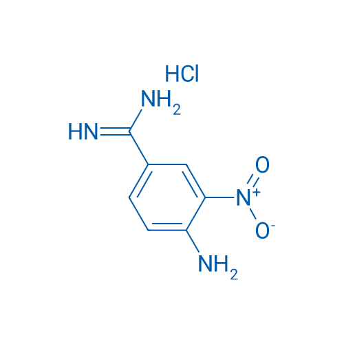 4-Amino-3-nitrobenzimidamide hydrochloride 5g