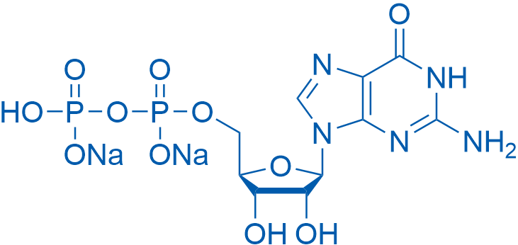 Guanosine 5'-diphosphate disodium salt 25g