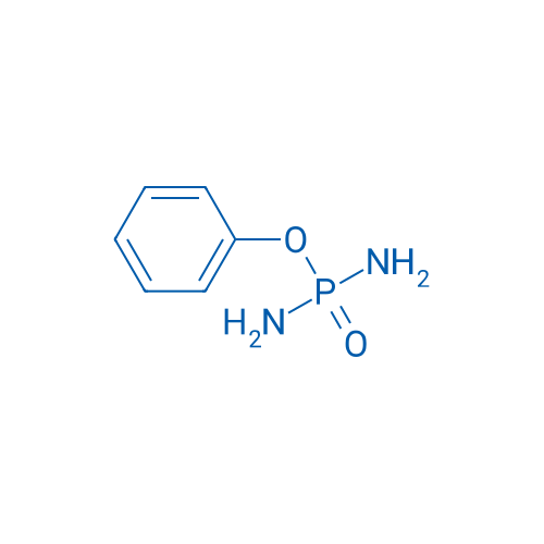 Phenyl phosphorodiamidate 1g