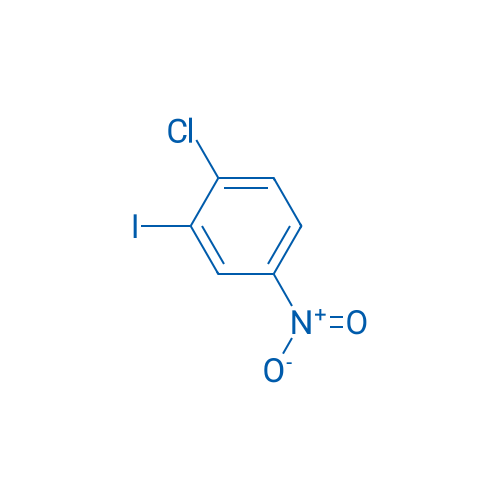 1-Chloro-2-iodo-4-nitrobenzene 1g