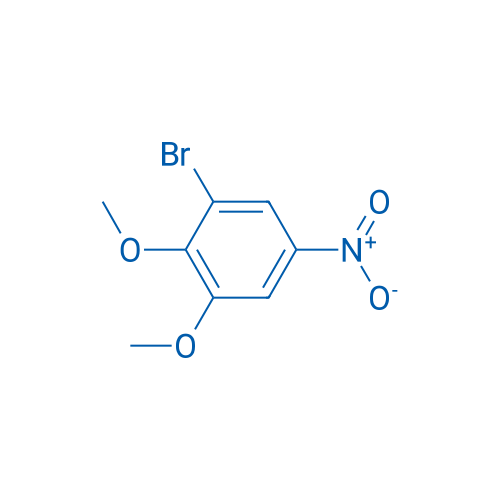 1-Bromo-2,3-dimethoxy-5-nitrobenzene 1g