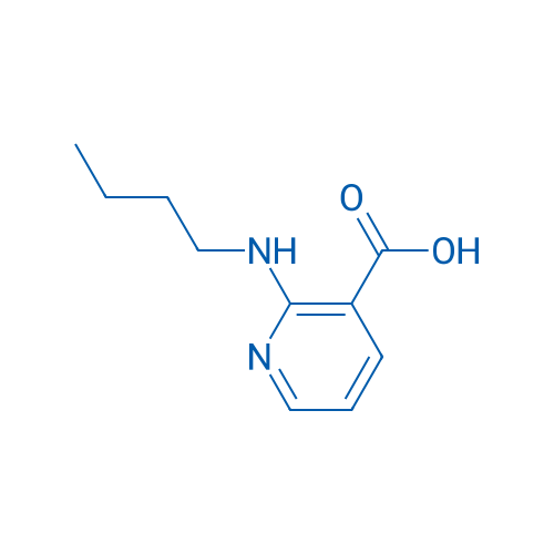 2-(Butylamino)nicotinic acid 5g