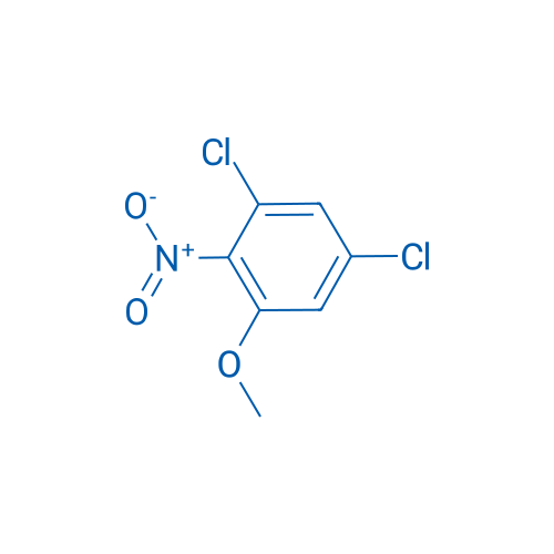 1,5-Dichloro-3-methoxy-2-nitrobenzene 5g