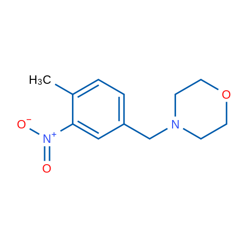 N-(4-MEthyl-3-nitrobenzyl)morpholine 250mg