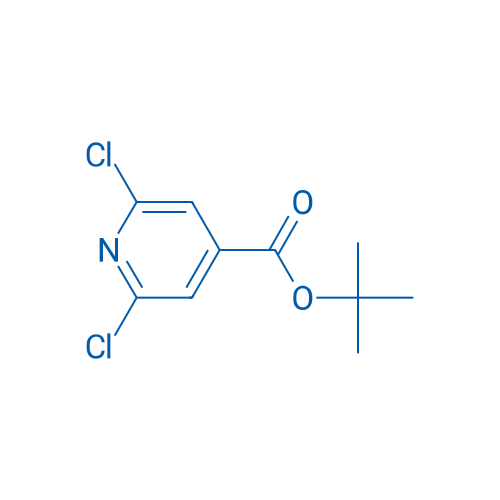 tert-Butyl 2,6-dichloroisonicotinate 1g