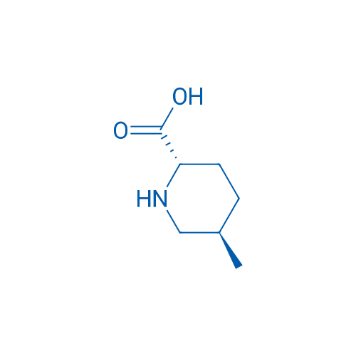 Rel-(2S,5R)-5-methylpiperidine-2-carboxylic acid 100mg