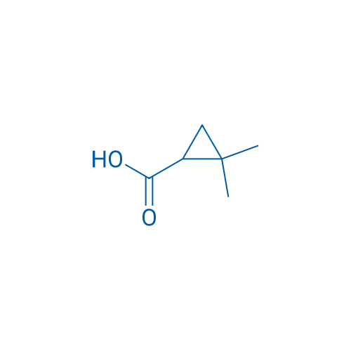 2,2-Dimethylcyclopropanecarboxylic acid 25g