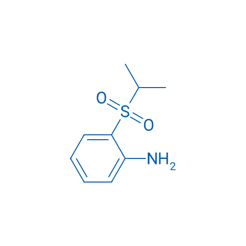 1-Amino-2-(isopropylsulphonyl)benzene 100g