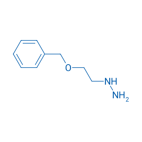 [2-(Benzyloxy)ethyl]hydrazine 1g