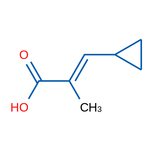 3-Cyclopropyl-2-methylacrylic acid 1g