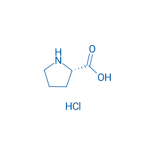 H-Pro-OH·HCl 1g