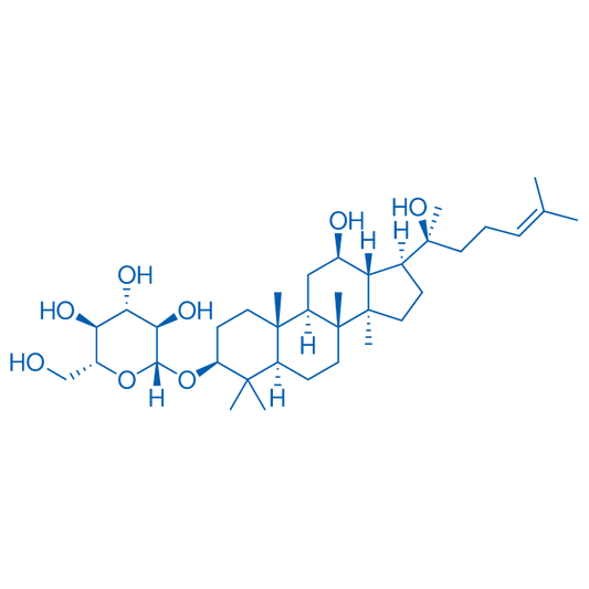 Ginsenoside Rh2 10mg