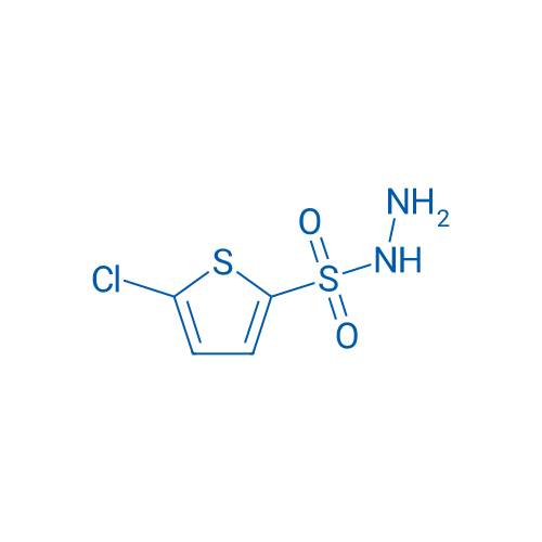 5-Chlorothiophene-2-sulfonohydrazide 100mg