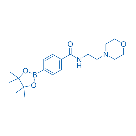 N-(2-Morpholinoethyl)-4-(4,4,5,5-tetramethyl-1,3,2-dioxaborolan-2-yl)benzamide 5g