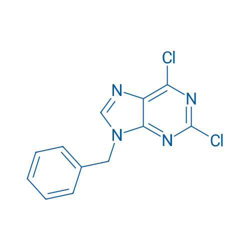 9-Benzyl-2,6-dichloro-9H-purine 25g