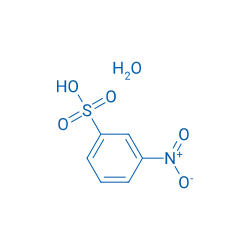 3-Nitrobenzenesulfonic acid hydrate 1g