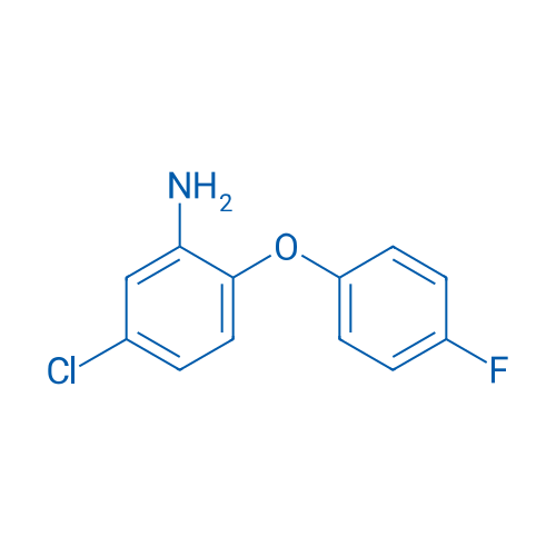 5-Chloro-2-(4-fluorophenoxy)aniline 1g