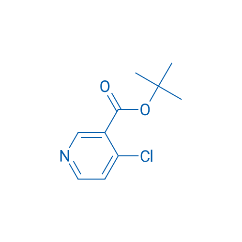 tert-Butyl 4-chloronicotinate 1g