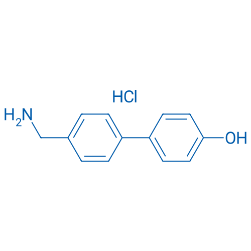 4'-(Aminomethyl)-[1,1'-biphenyl]-4-ol hydrochloride 1g