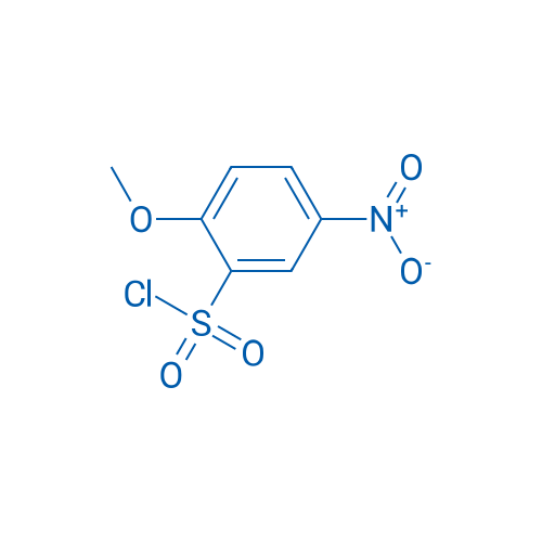 2-Methoxy-5-nitrobenzene-1-sulfonyl chloride 1g