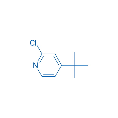 4-tert-Butyl-2-chloropyridine 500g