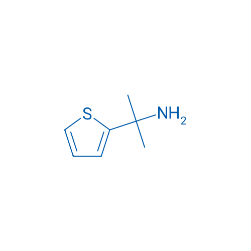 2-(Thiophen-2-yl)propan-2-amine 1g