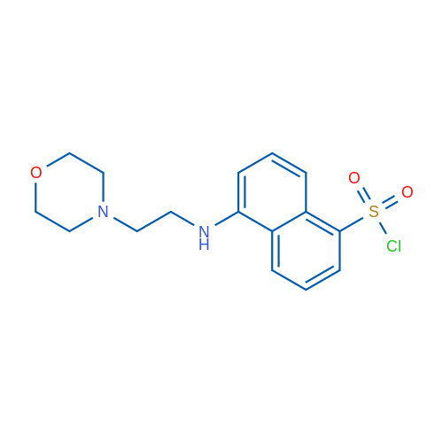 5-((2-Morpholinoethyl)amino)naphthalene-1-sulfonyl chloride 1g
