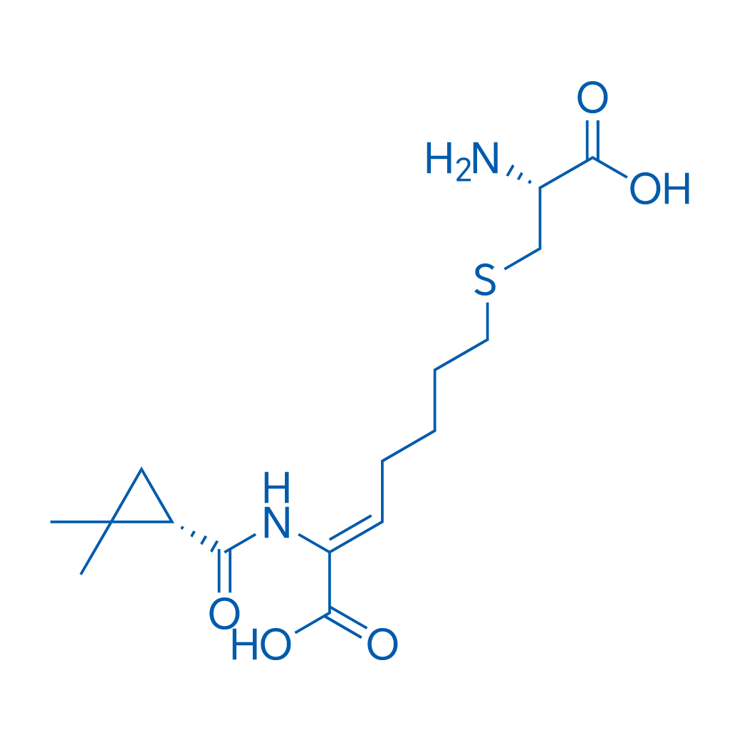 Cilastatin 10g