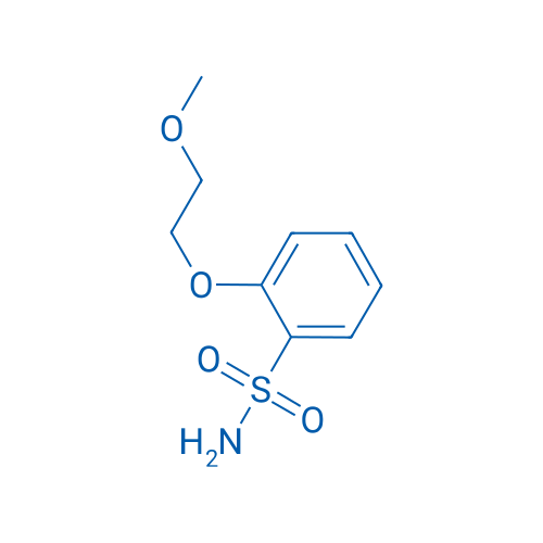2-(2-Methoxyethoxy)benzenesulfonamide 100g