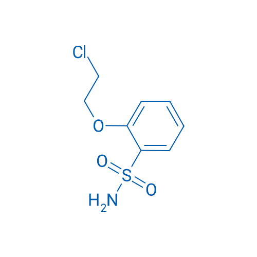 2-(2-Chloroethoxy)benzenesulfonamide 25g