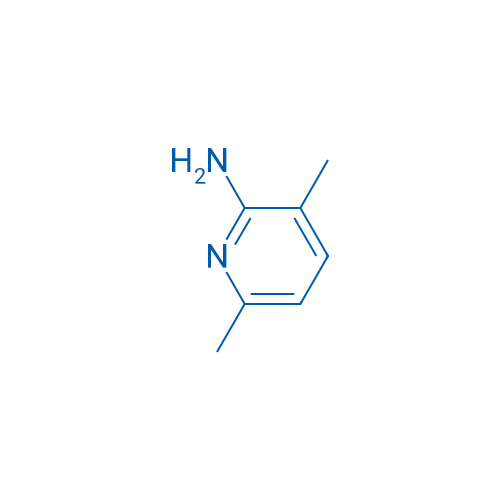 3,6-Dimethyl-2-pyridinamine 250mg