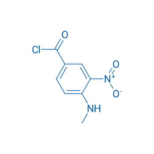 4-(Methylamino)-3-nitrobenzoyl chloride 1g