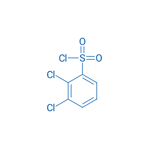 2,3-Dichlorobenzenesulfonyl chloride 25g