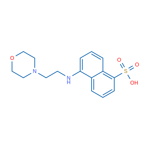 5-((2-Morpholinoethyl)amino)naphthalene-1-sulfonic acid 1g