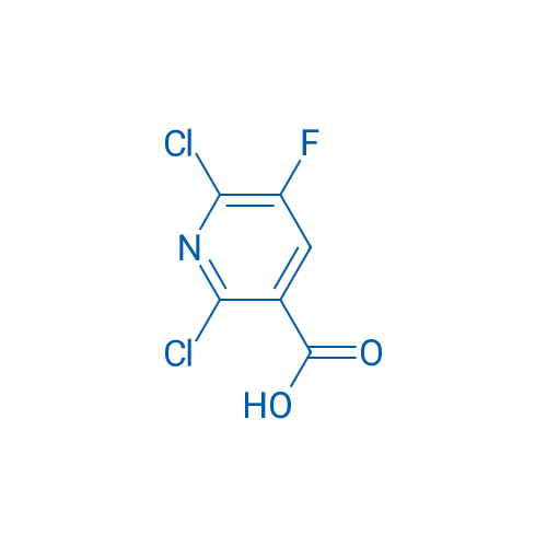2,6-Dichloro-5-fluoronicotinic acid 1g
