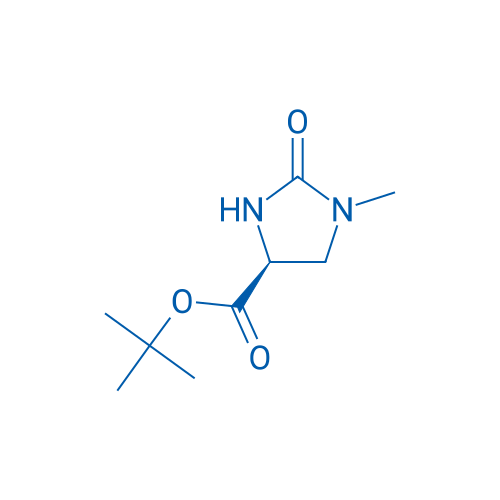 (S)-tert-Butyl 1-methyl-2-oxoimidazolidine-4-carboxylate 5g
