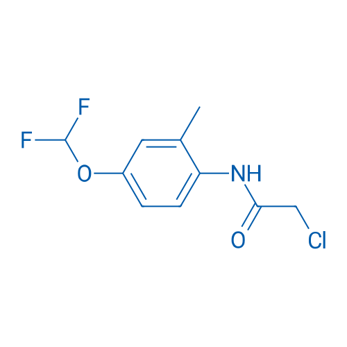 2-Chloro-N-(4-(difluoromethoxy)-2-methylphenyl)acetamide 1g